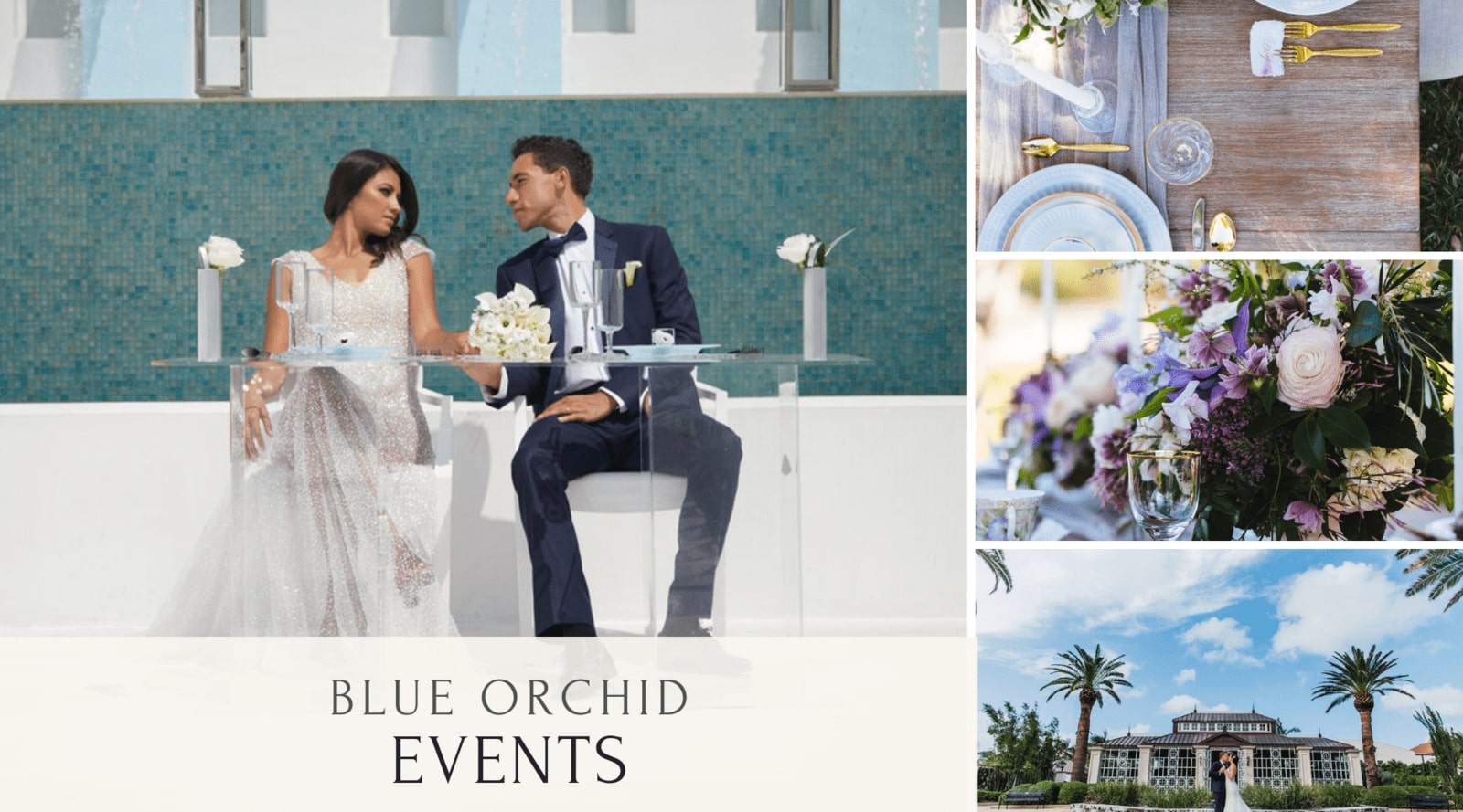 ABBY GALLAGHER FROM BLUE ORCHID EVENTS & DESIGN